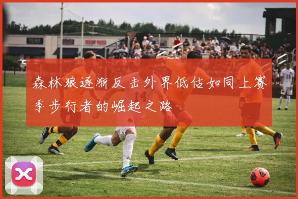 森林狼逐渐反击外界低估如同上赛季步行者的崛起之路